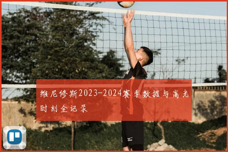 维尼修斯2023-2024赛季数据与高光时刻全记录
