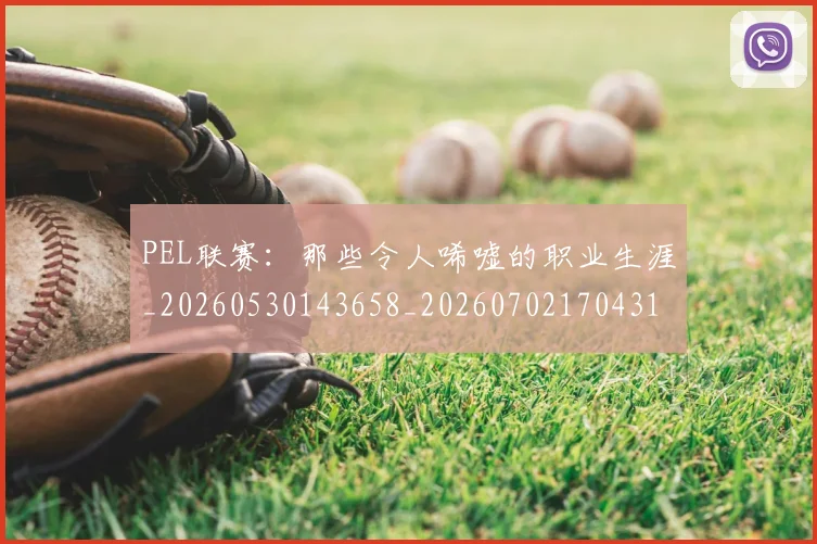 PEL联赛：那些令人唏嘘的职业生涯_20260530143658_20260702170431