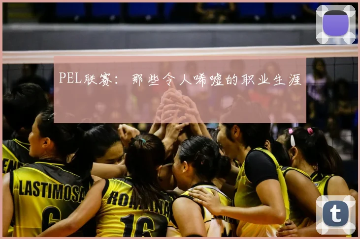 PEL联赛:那些令人唏嘘的职业生涯